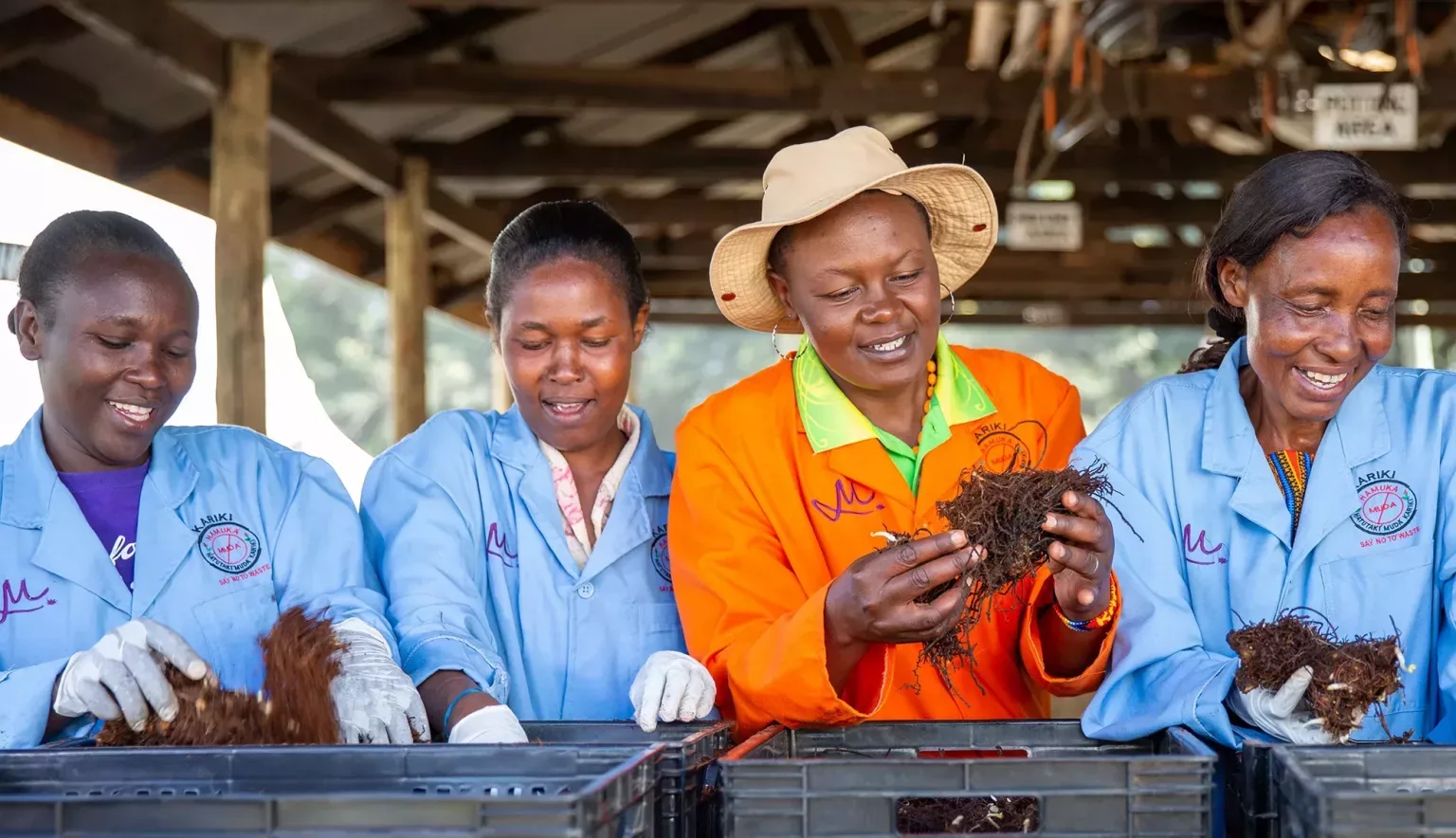 Kenya Flower Council: How Kenya Became One of the World’s Leading Flower Exporters